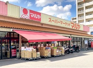 マルヤ 南流山店