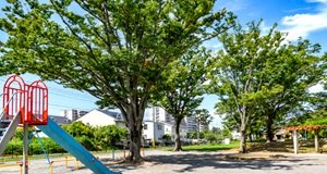 あかしあ公園