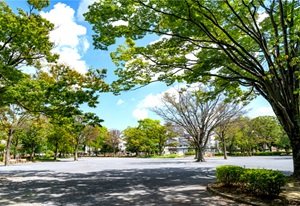 新松戸中央公園