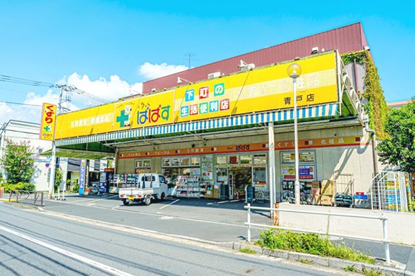 どらっぐぱぱす 青戸店
