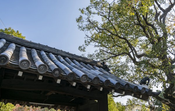 井於神社