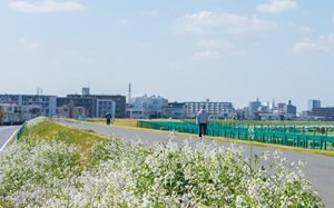 多摩川