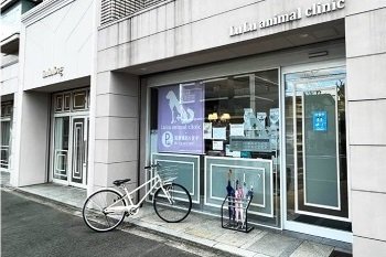 ルル アニマル クリニック（動物病院）