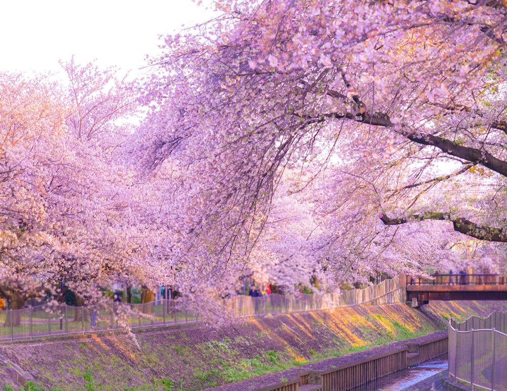 和田堀公園