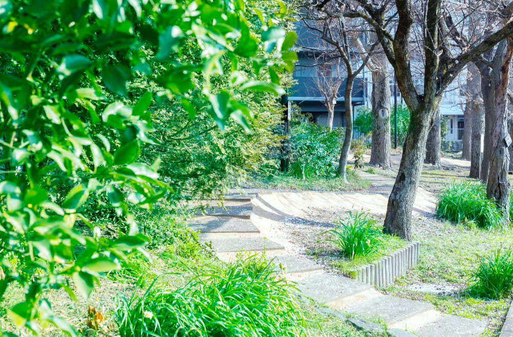 どんぐり緑地