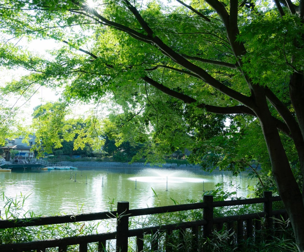 碑文谷公園