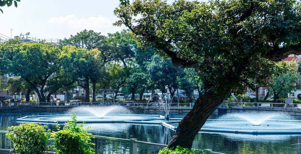 清水池公園