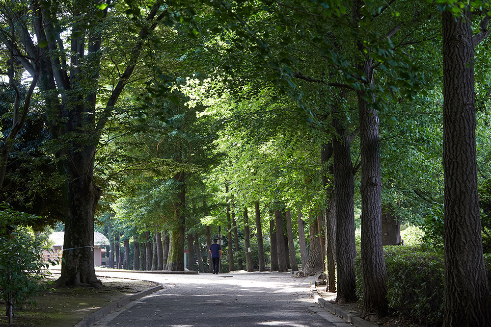 羽根木公園