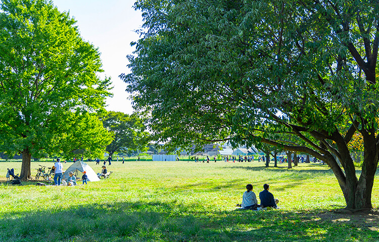 東伏見公園