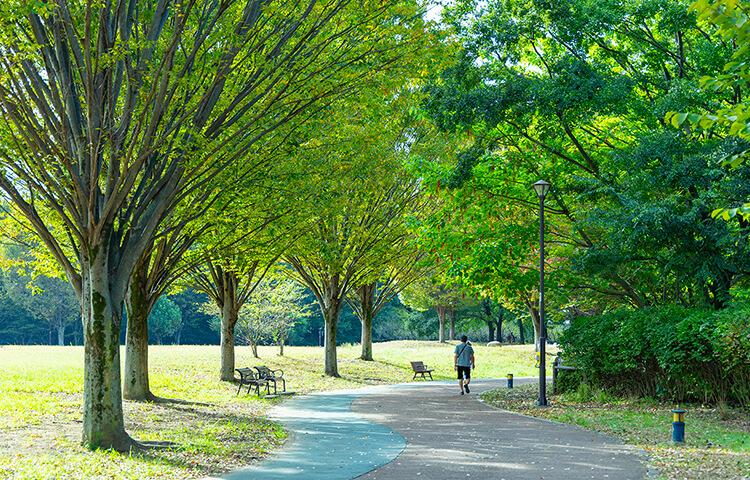西東京いこいの森公園