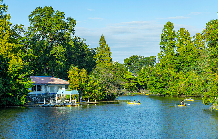 武蔵関公園