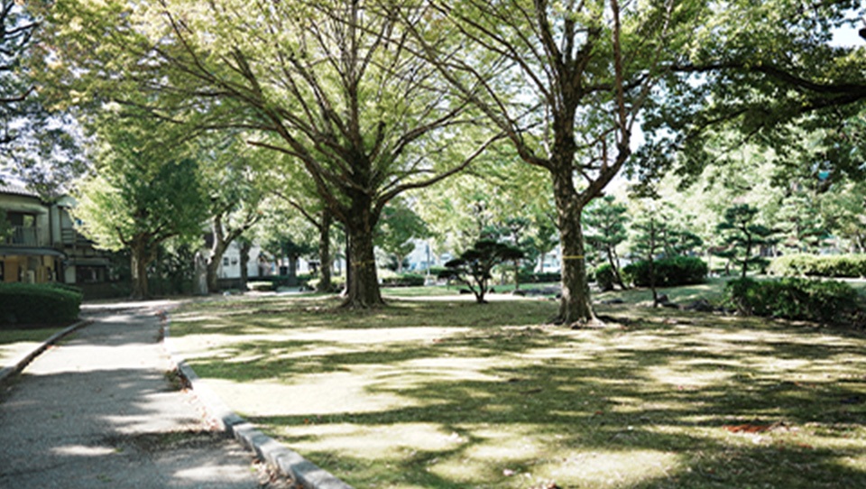 三本松公園