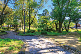 紅葉山公園