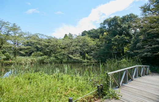 国立科学博物館附属自然教育園