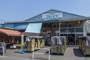 新鮮市場フレッツ