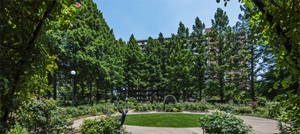 四季の香公園