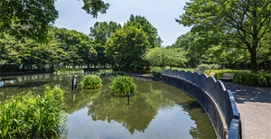 春の風公園