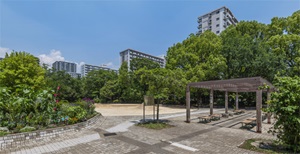 夏の雲公園