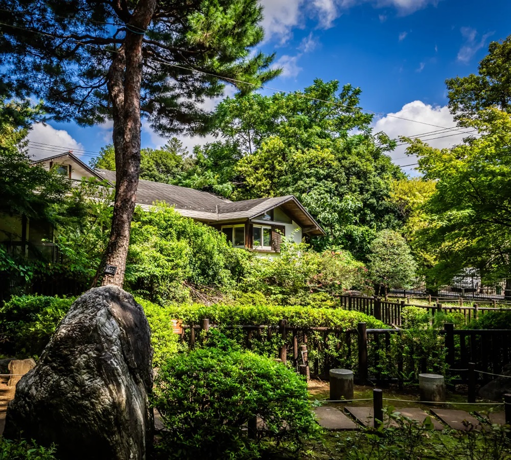 深沢の杜緑地