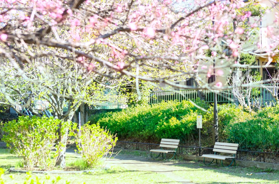 玉川上水第三公園