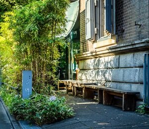 根津 釡竹