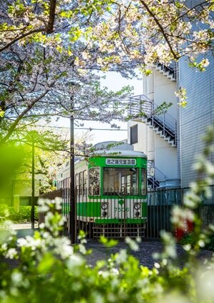池之端児童遊園（池之端七軒町停留場跡）