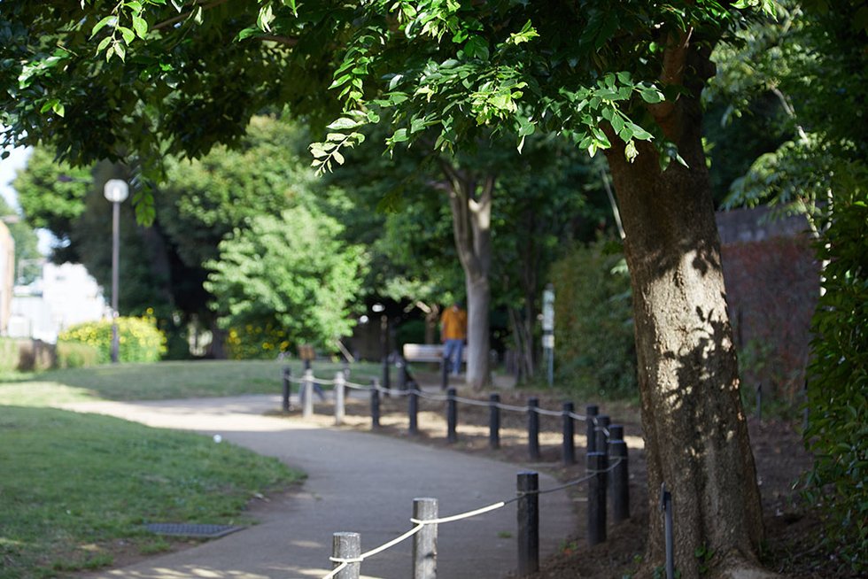 若林公園
