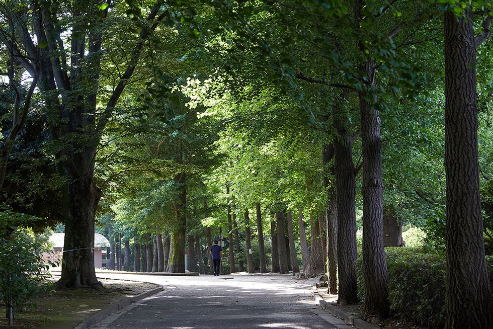 羽根木公園