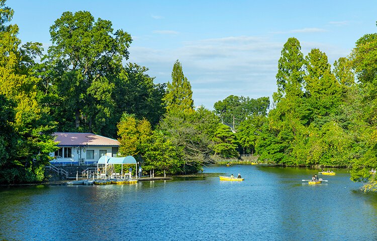 武蔵関公園