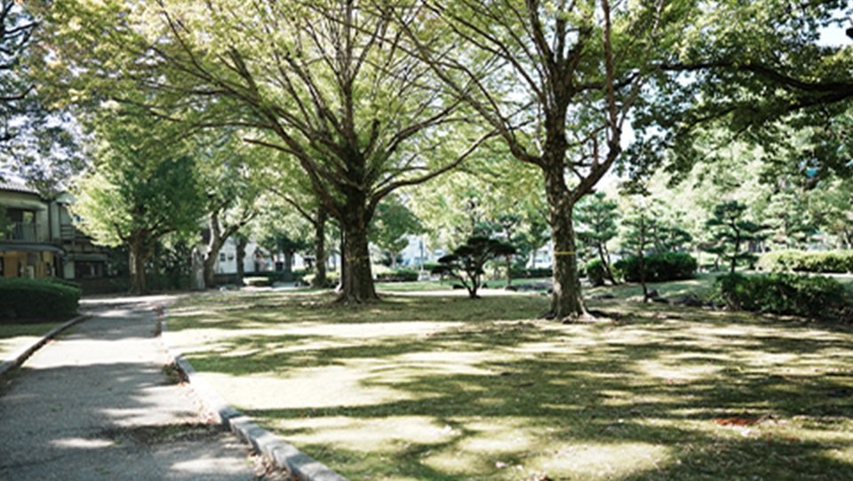 三本松公園