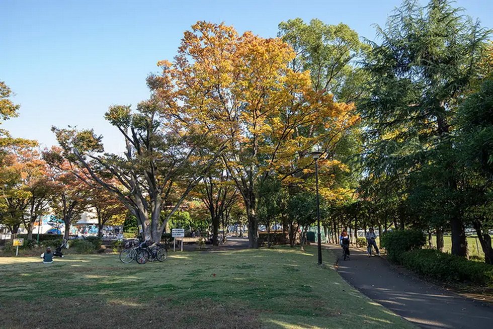 萩中公園