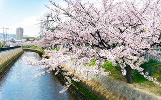 津門中央公園