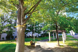 コラッセひろば