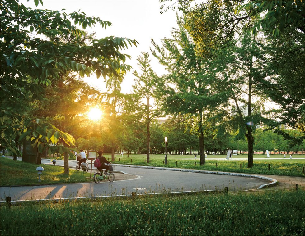城山公園