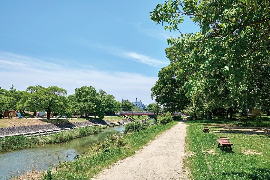 石手川緑地