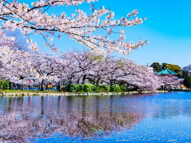 上野恩賜公園