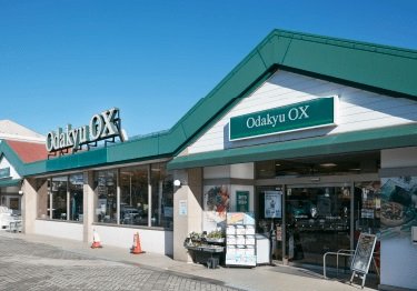 Odakyu OX 栗平店