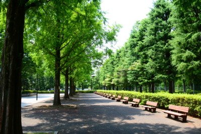 朝霞中央公園