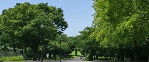 光が丘公園
