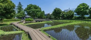 秋の陽公園
