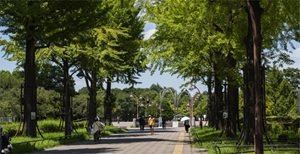 光が丘ふれあいの径