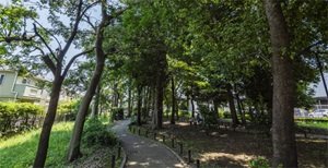 土志田の森公園