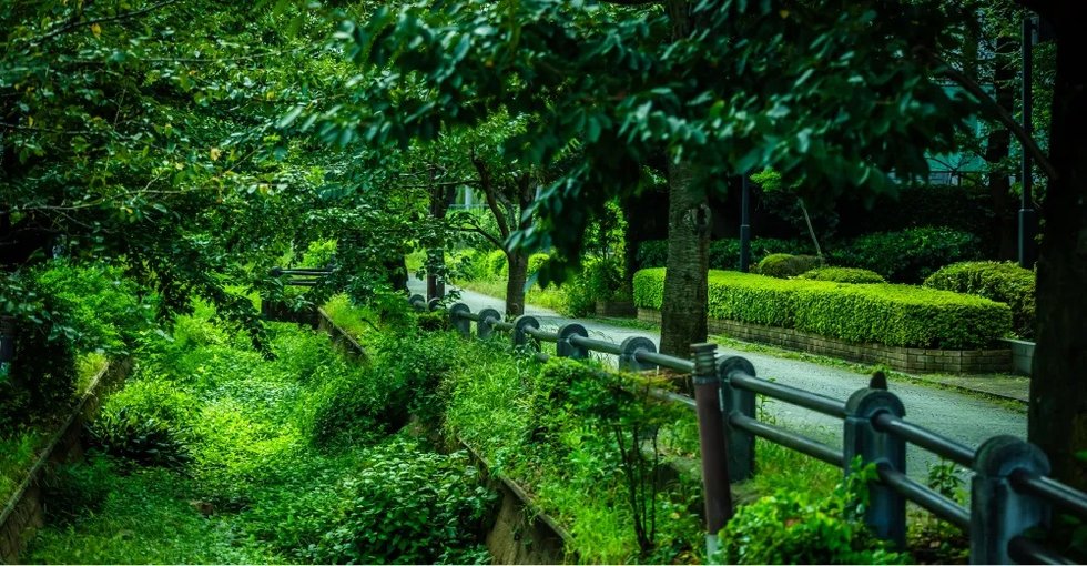 呑川親水公園