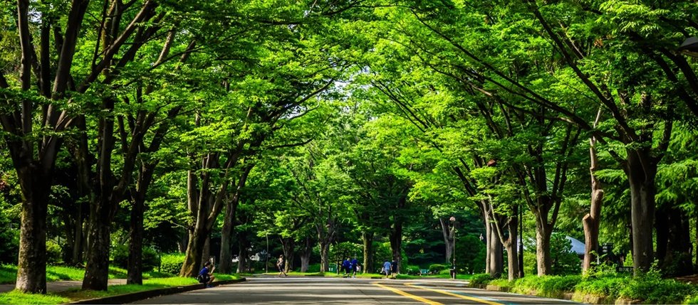 駒沢オリンピック公園