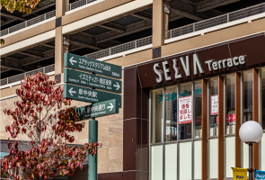 SELVA Terrace