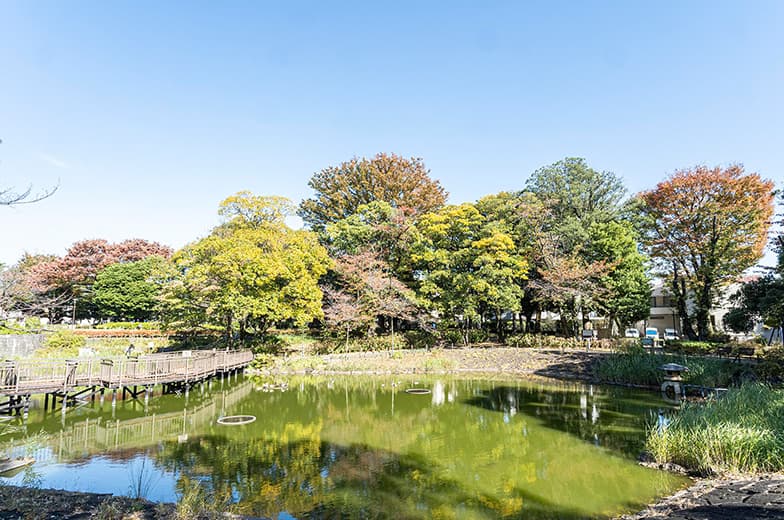 文庫の森