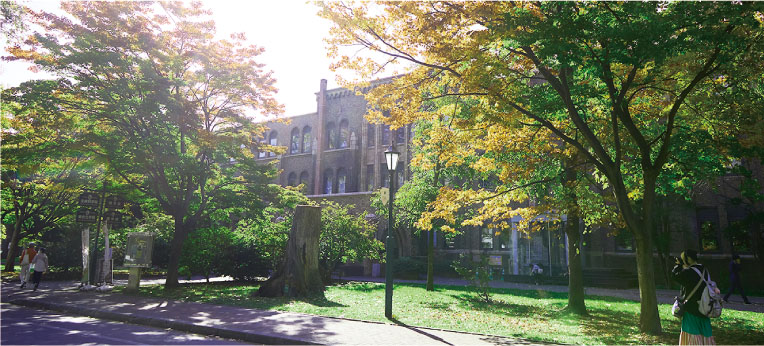 北海道大学