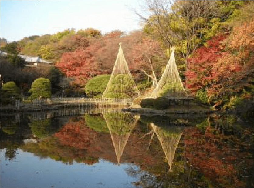肥後細川庭園