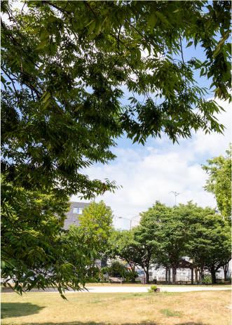 本庄中央公園