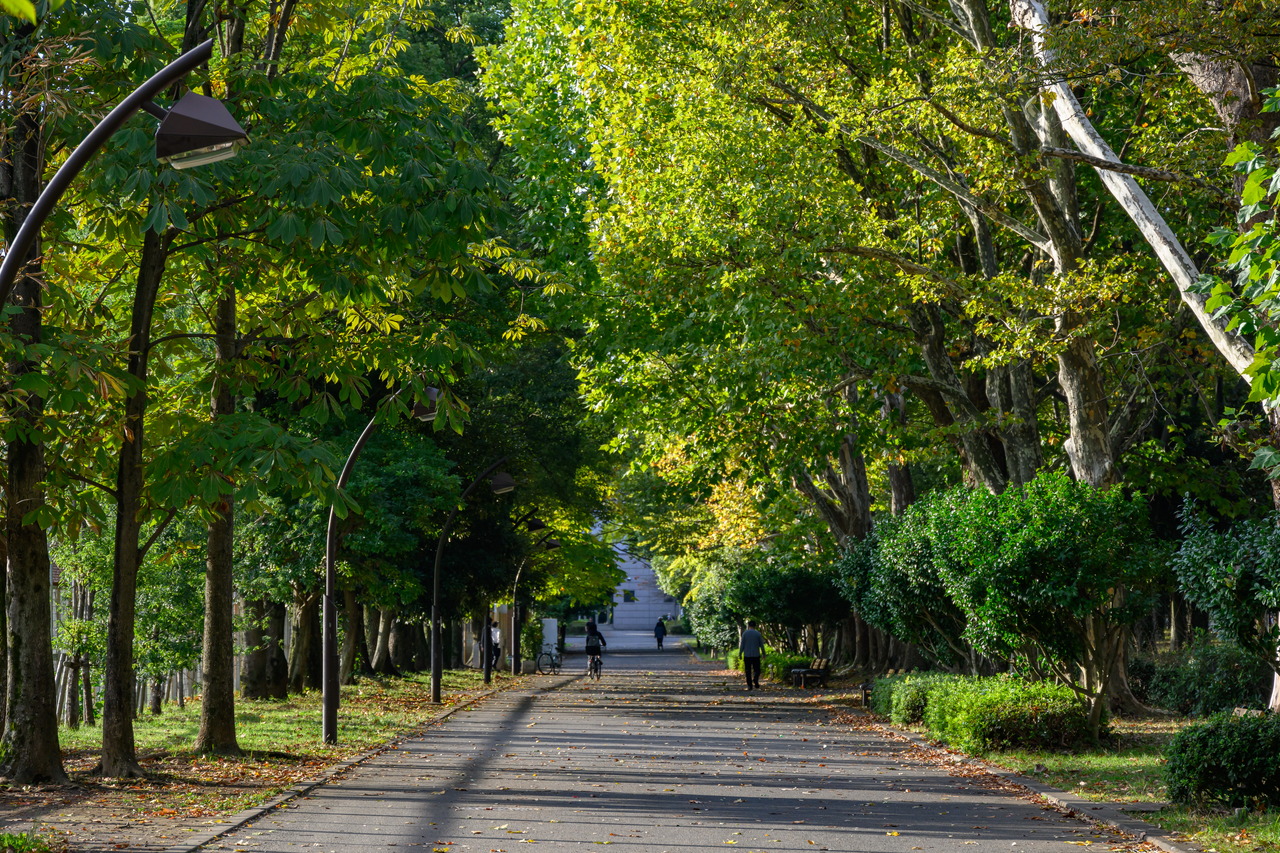 都立光が丘公園